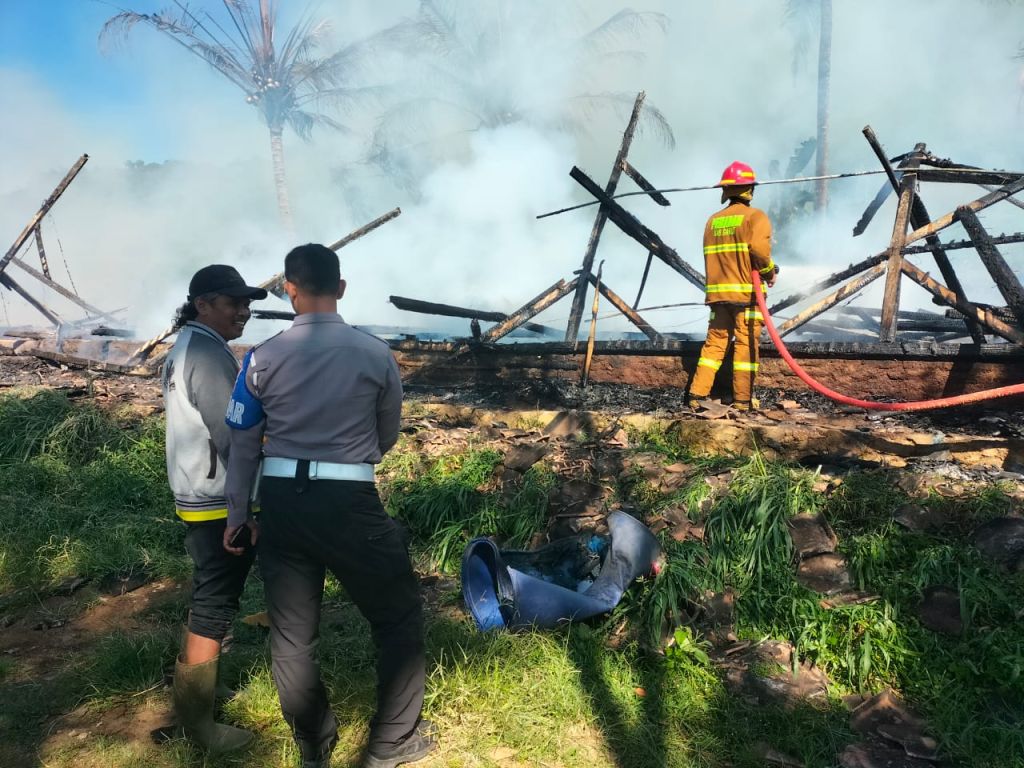 Kebakaran Kandang Ayam 3.jpg